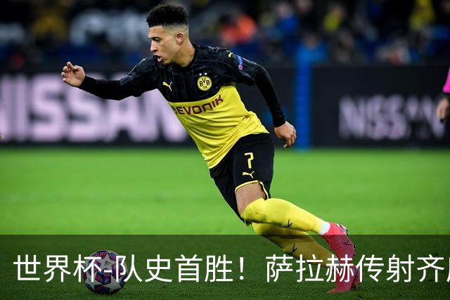 世界杯-队史首胜！萨拉赫传射齐库建功 埃及3-1新西兰升至榜首